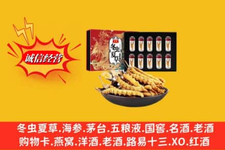 伊春名酒回收虫草.jpg